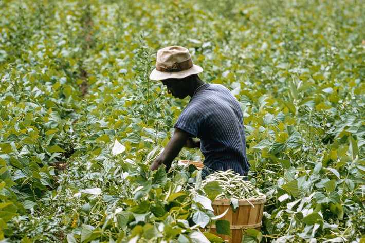 Migrant Workers NY No 89