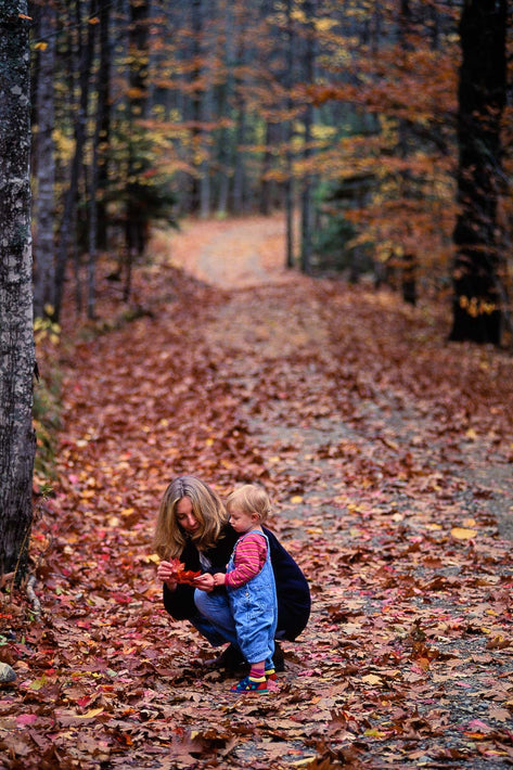 Maine, Autumn