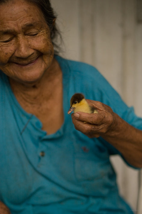 Old Woman, Chick, Amazon, Brazil