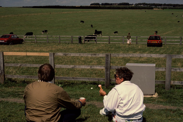Couple Eating, Pasture and Cows, England