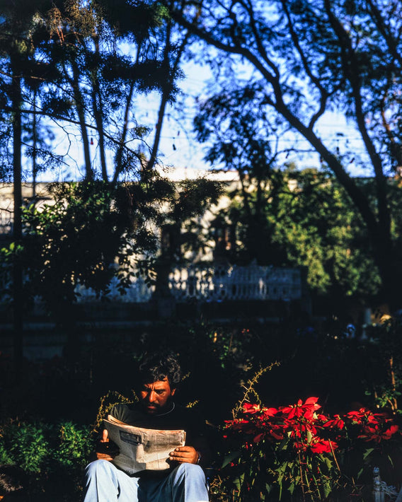 Reading Newspaper, Oaxaca