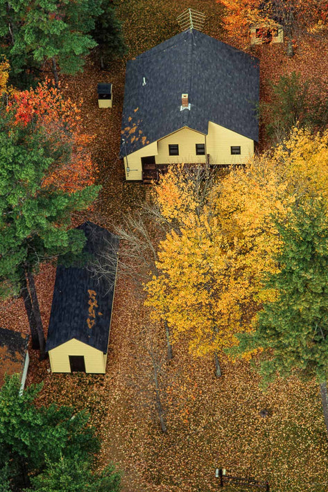 Aerial Tree and House