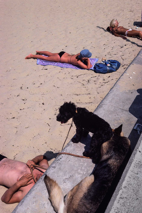 Sunbathers with Dogs