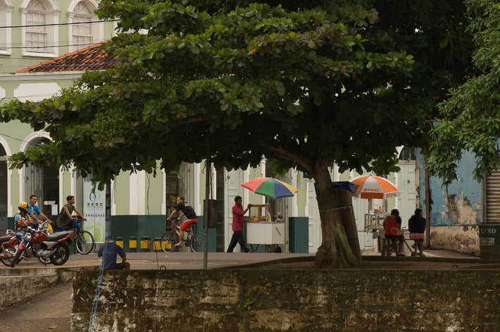Tree, Umbrellas, Cyclists