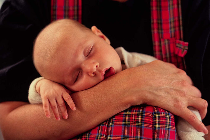 Asleep on L.A.'s Lap