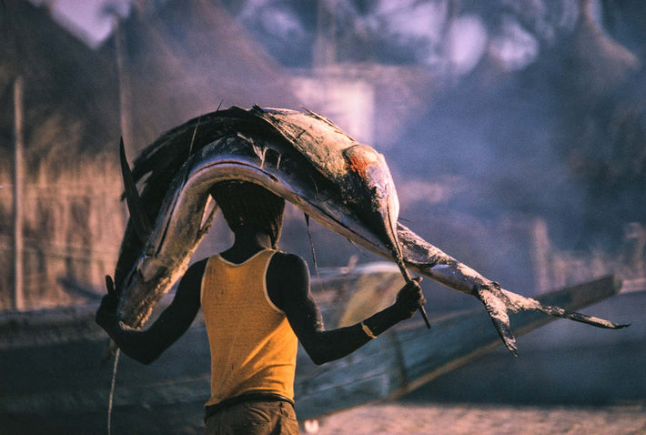 Carrying Fish on Head, Senegal