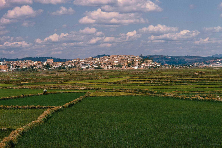 Rice Field with Houses, Antananarivo