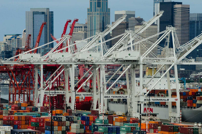 Cranes, Skyline, Seattle