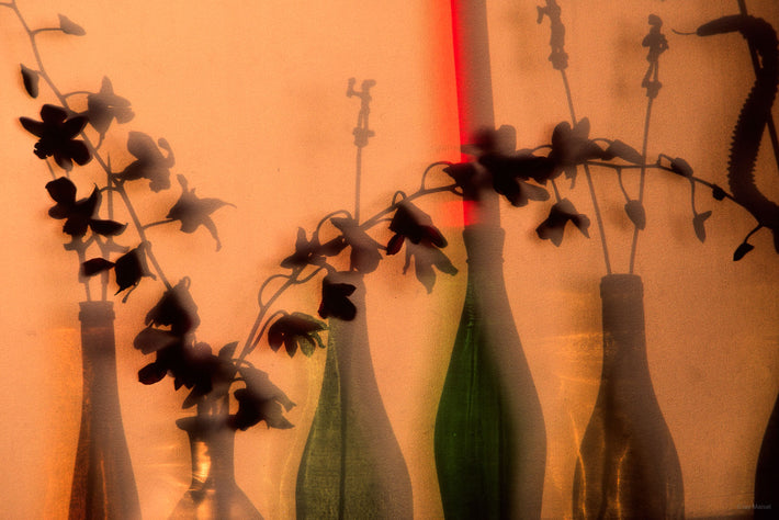 Bottles and Flower Behind Window Shade