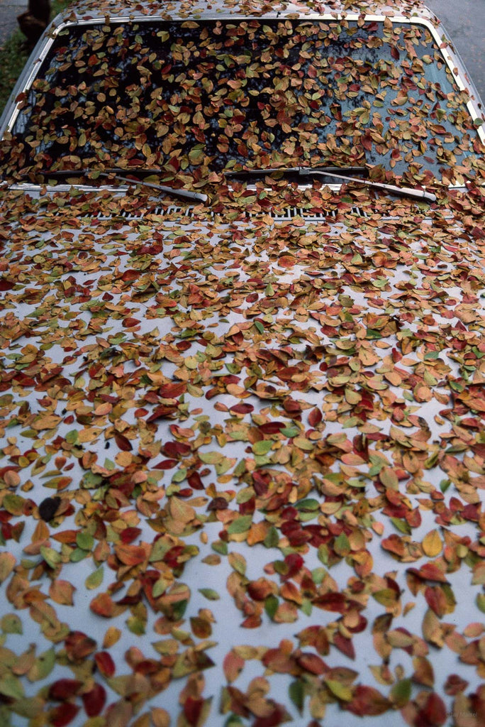 Cars No 11 – Jay Maisel