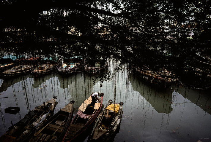 Water, Boats Through Trees, Singapore