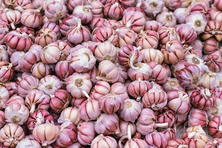 Garlic, São Paulo