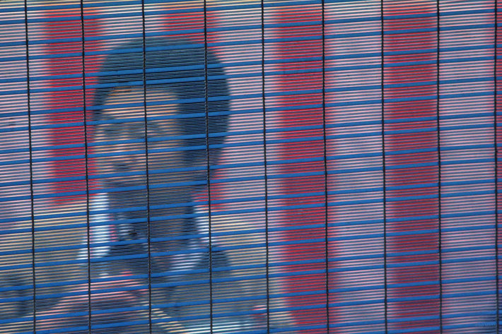 Man Seen Through Screen, Tokyo