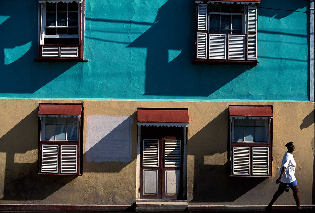 Facade of House, Woman, Jamaica Jay Maisel