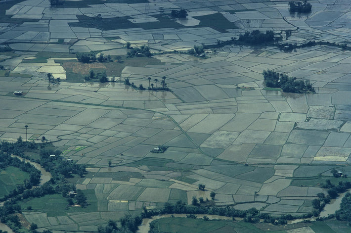 Aerial Rice Paddies 1, Philippines