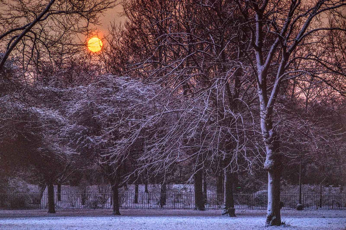 Snow No 16