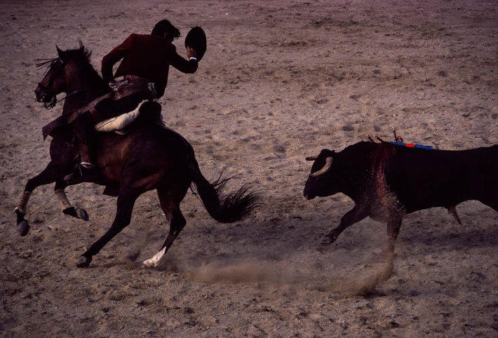 Man on Horseback with Hat, Chased by Bull, Arles