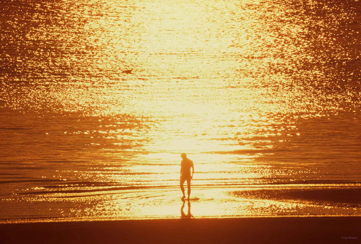 Backlit Figure, Sea Sunset