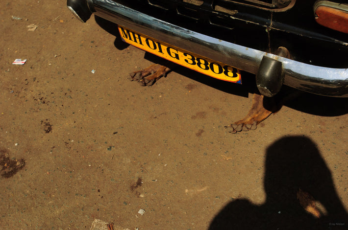 Car with Dog's Paws Under It, My Shadow, Mumbai