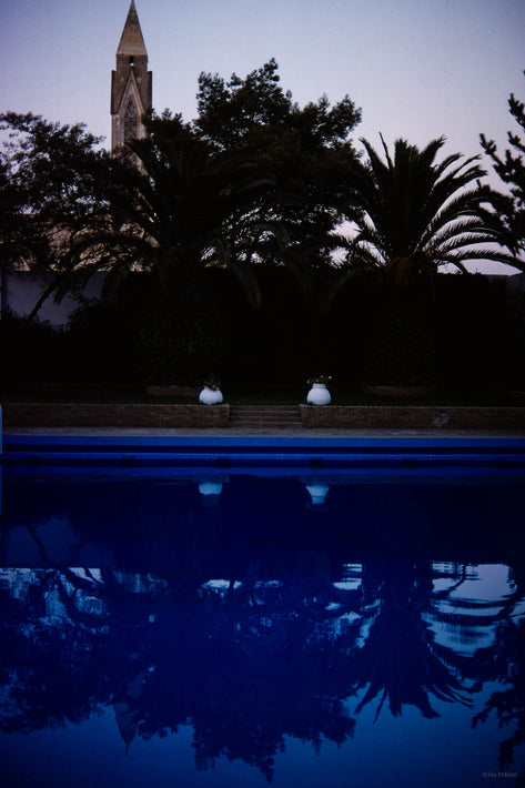 Palms and Reflections, Marrakech