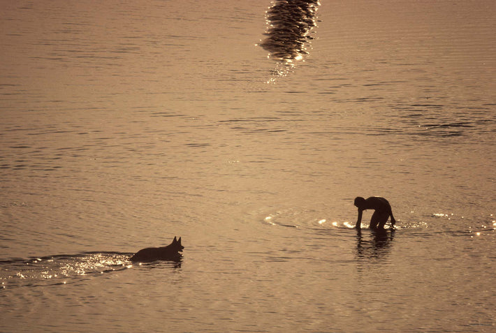 Silhouette of Dog, Man in Water