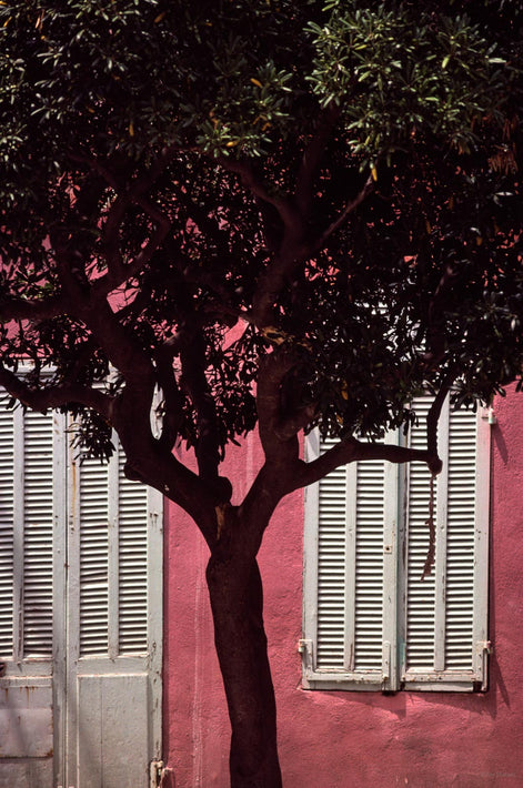 Tree, White Shutters, Pink Wall, France