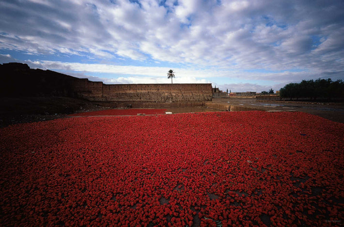 Wide View of Red Peppers with Prominent Clouds, Marrakech