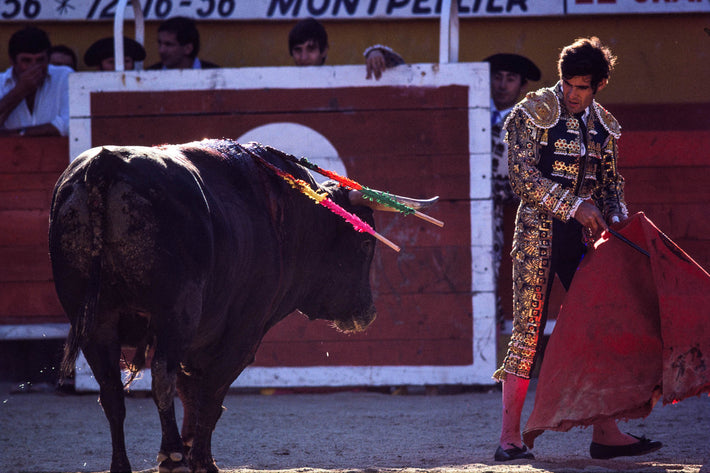 Matador Waiting for Bull, Arles