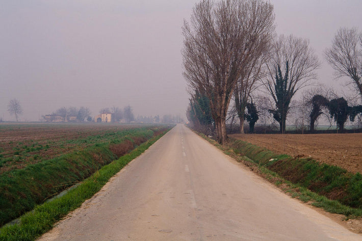 Road, Trees, House, Vicenza