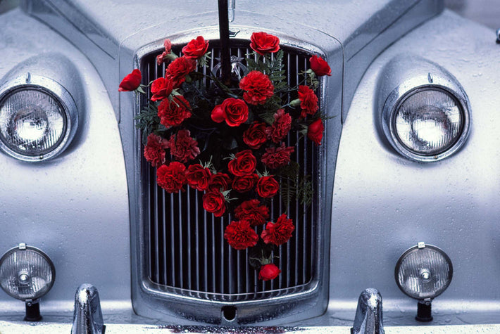 Roses on Rolls Royce, Ireland