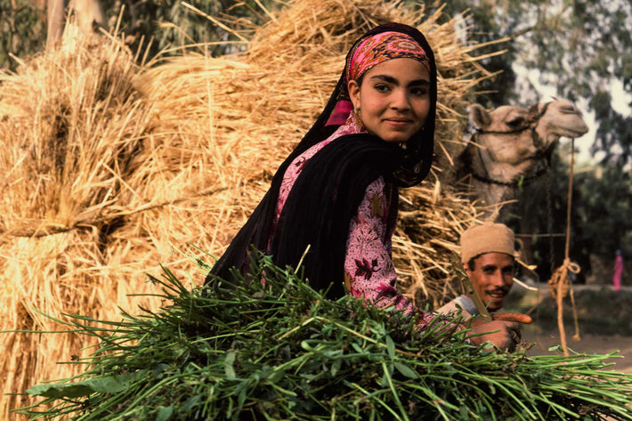 Woman with Hay and Grasses, Egypt