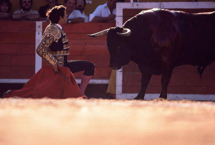 Matador on One Knee in Front of Bull, Arles