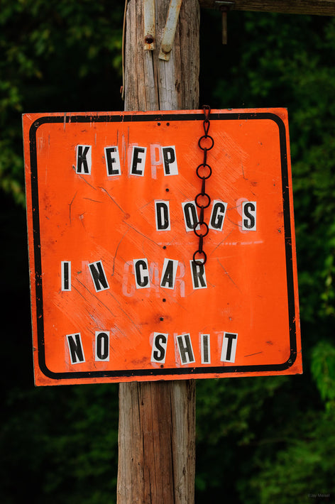 Keep Dogs in Car, No Shit, Maine