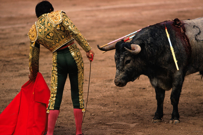 Bullfight Face-off, Mexico