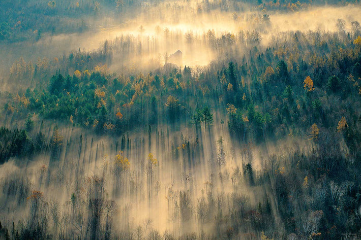 Trees with God-rays, Maine