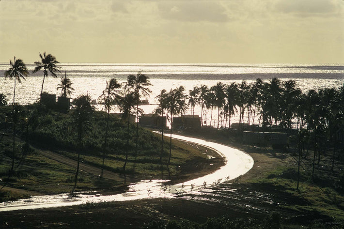 Road Curving to Sea, Puerto Rico