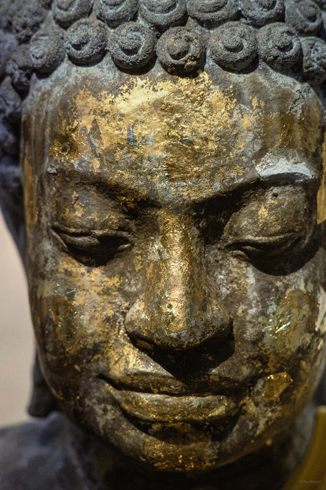 Head of Buddha, Bangkok