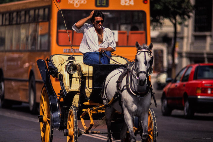 Driver, Horse Carriage and Bus