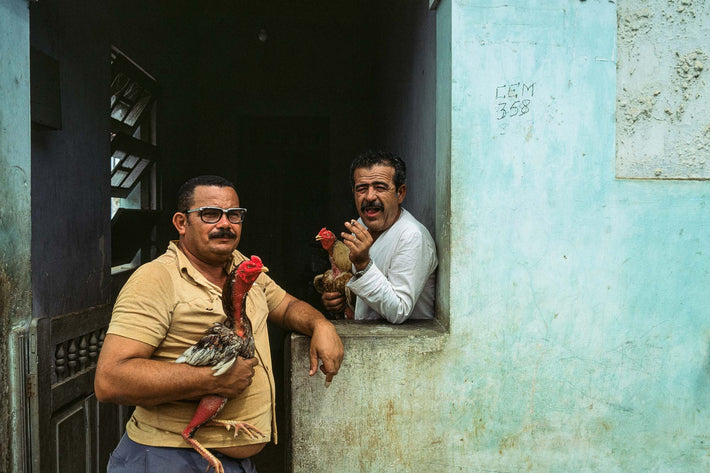 Two Men with Fighting Cocks, Oaxaca