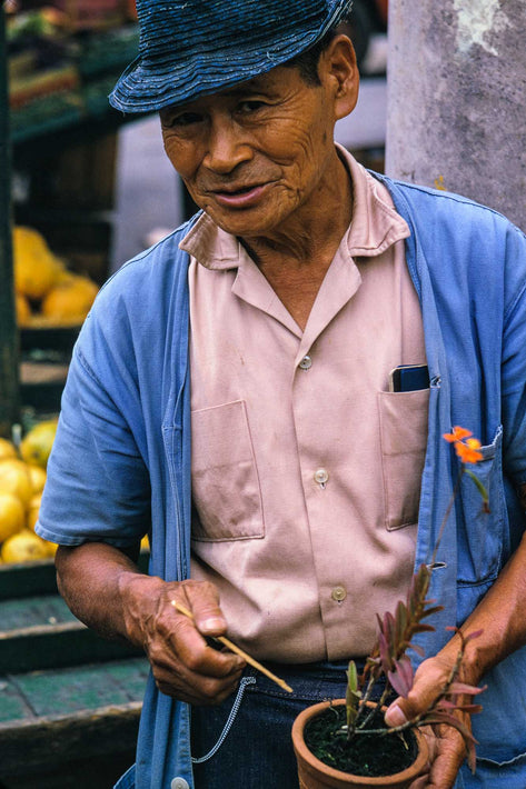 Man Holding Potted Plant, São Paulo