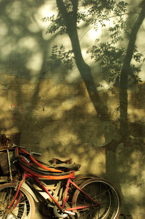 Red Bikes, Shadow of Tree, Beijing