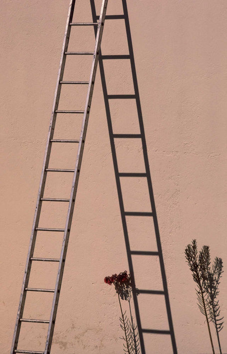 Ladder, Oaxaca