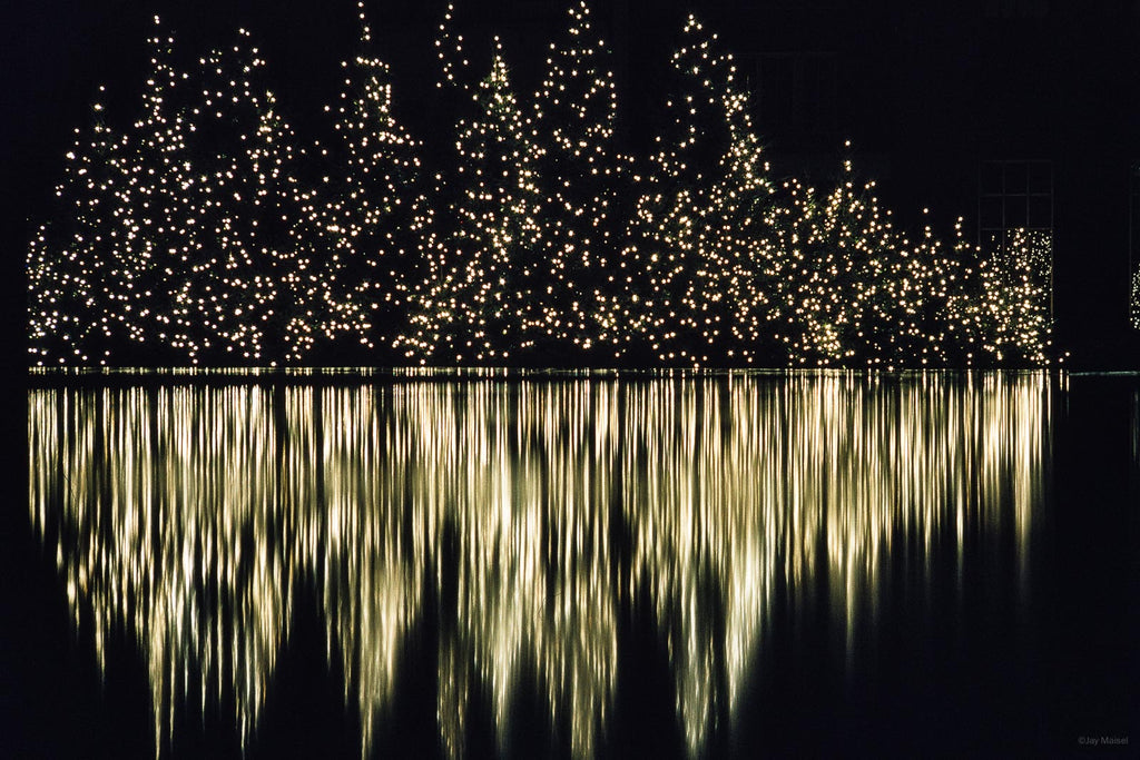 Christmas No 33 – Jay Maisel