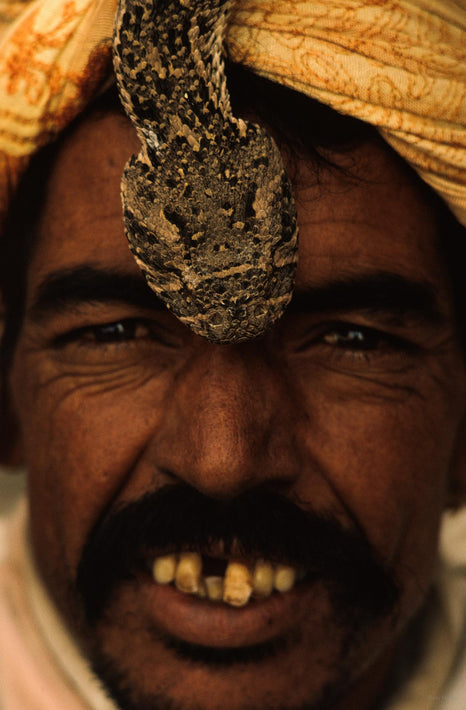 Man, Broken Tooth with Snake, Marrakech