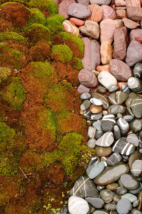 Patterned Stones, Seattle