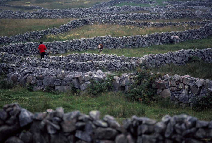 Rock walls, Man in Red, Ireland