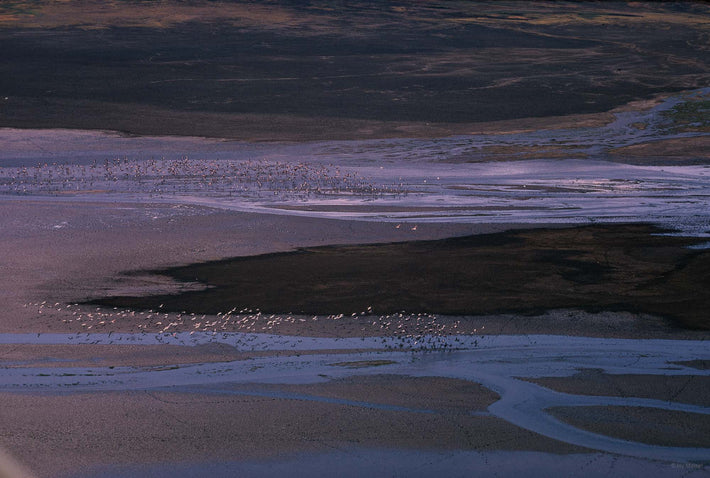Aerial of Birds, Water, Land, Kenya