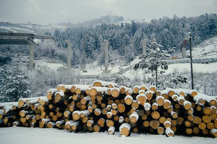Logs, Highway Columns, Northern Italy
