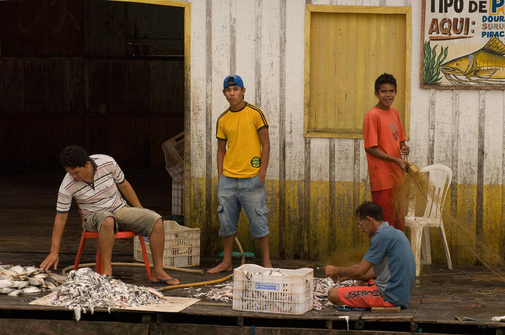 Fish Cleaning, Amazon, Brazil