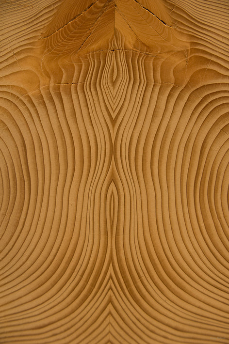 Jay&apos;s Wood Piece